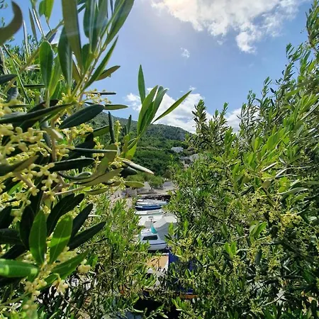 Villa Seaview Ploce (Dubrovnik-Neretva)