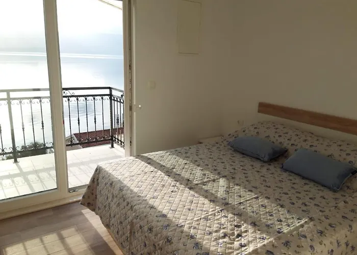 فيلة Seaview